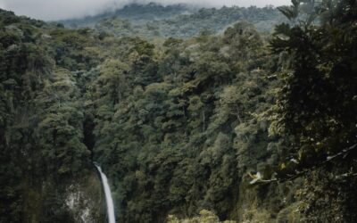 BRKNMADd