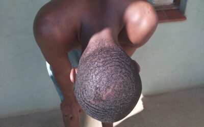 Cardo.Freddo