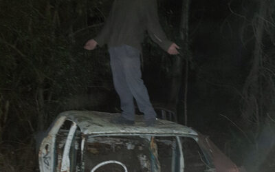 dxmolly