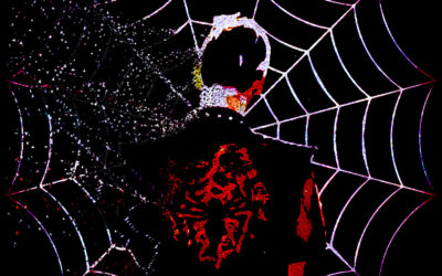 SPYDAWEB