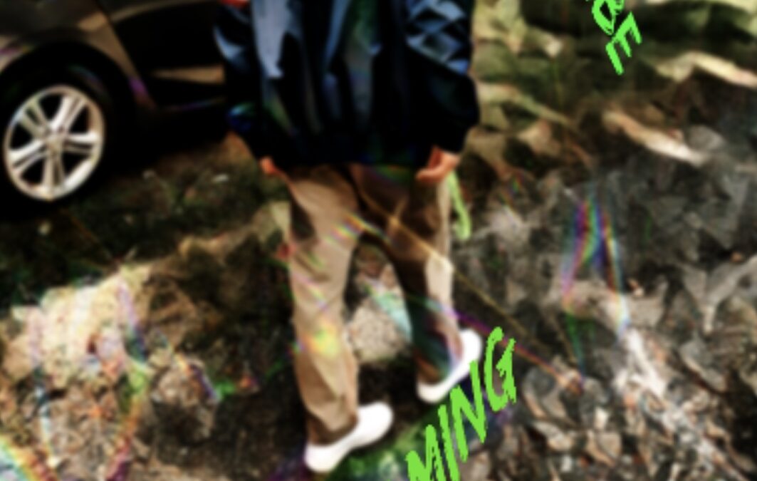Wingvibe