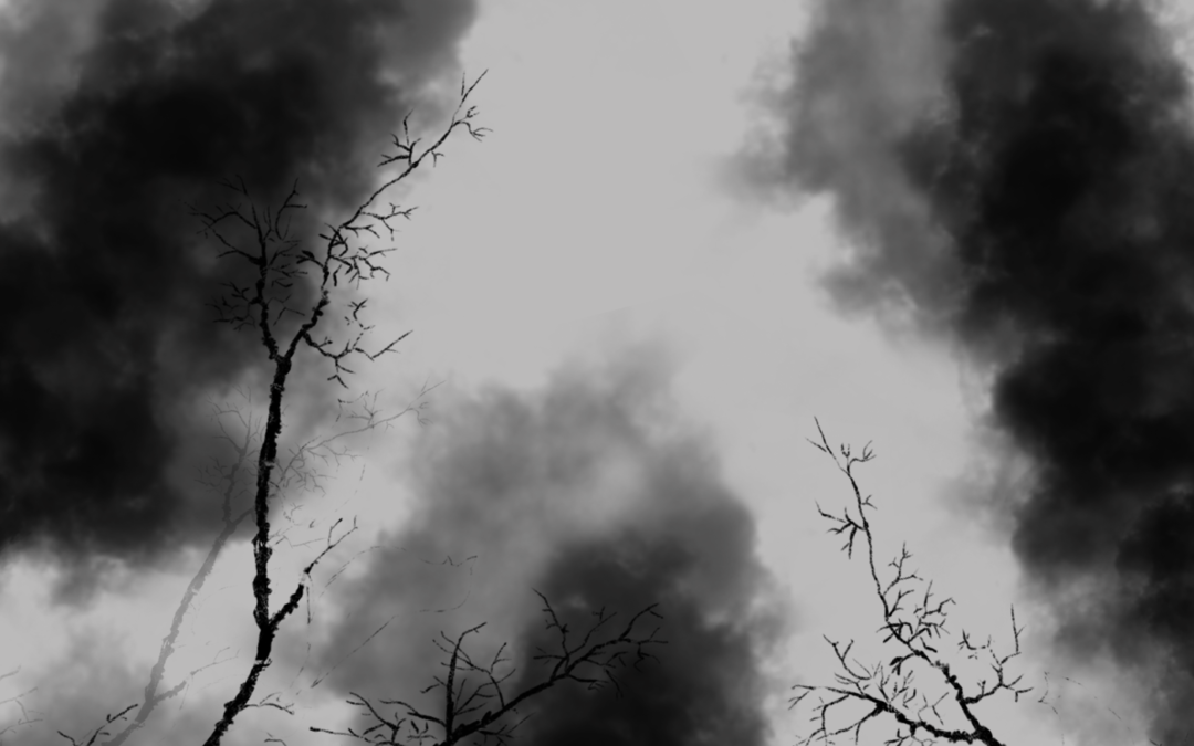 Yin
