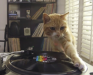 DJ AL1FREDO
