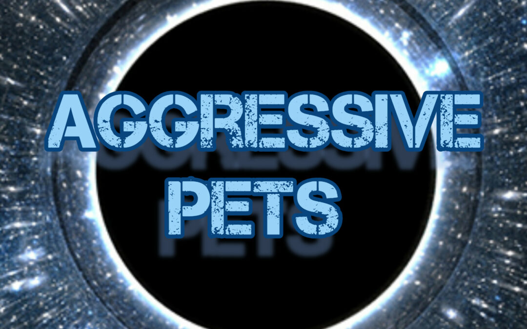 Aggressive Pets