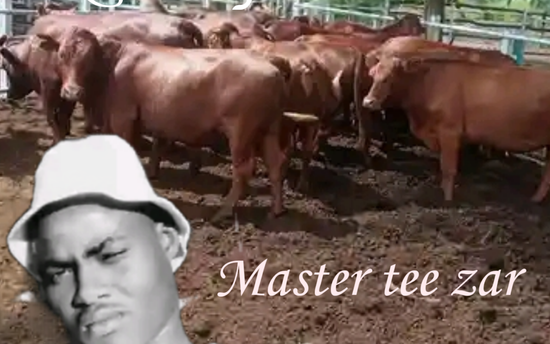 master tee zar
