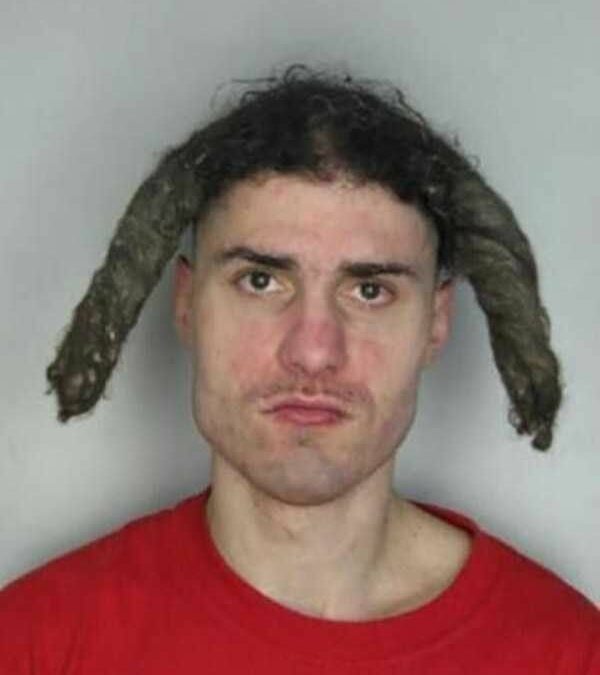emilian wonk