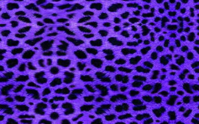 PS Violet