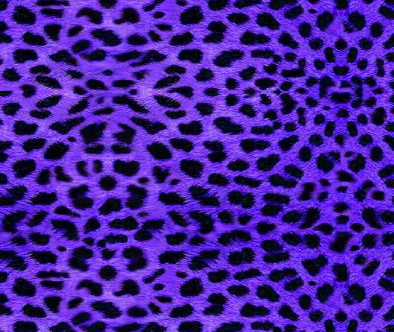 PS Violet