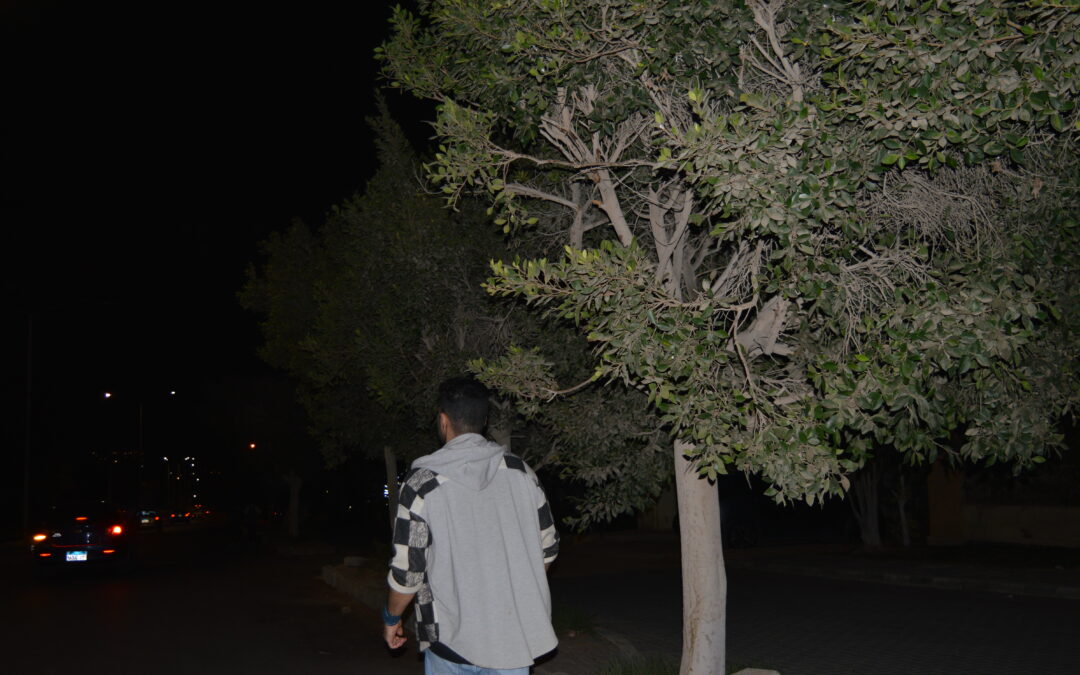 Adham Elsherif