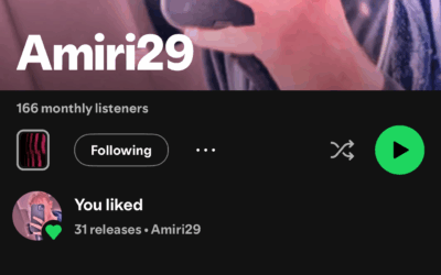 Amiri29