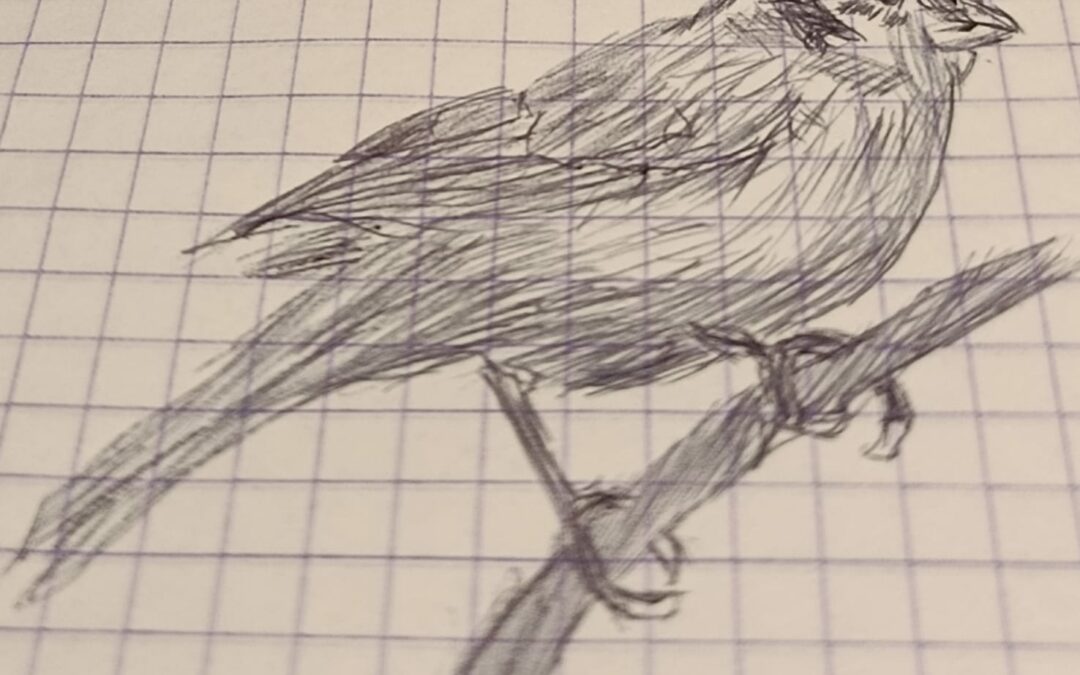 Chkilita