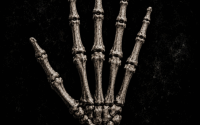 XcessiveHandz